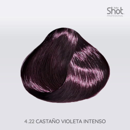 Tinte 4.22 Castaño Violeta Intenso