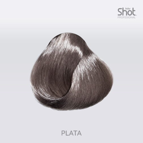 Tinte 13.2 Plata
