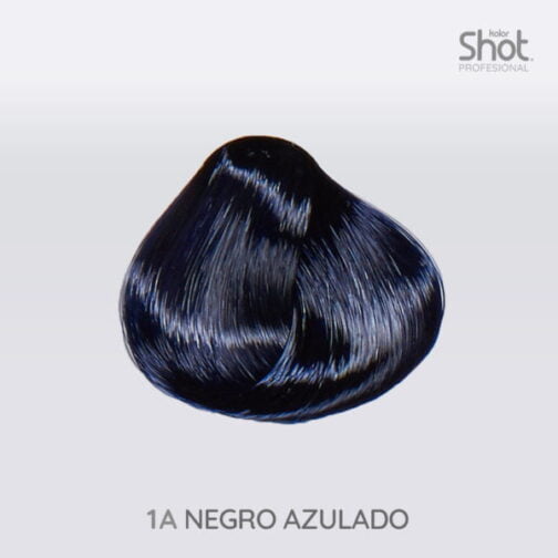 Tinte 1A Negro Azulado