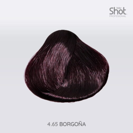 Tinte 4.65 Borgoña