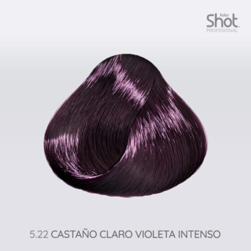 Tinte 5.22 Castaño Claro Violeta Intenso